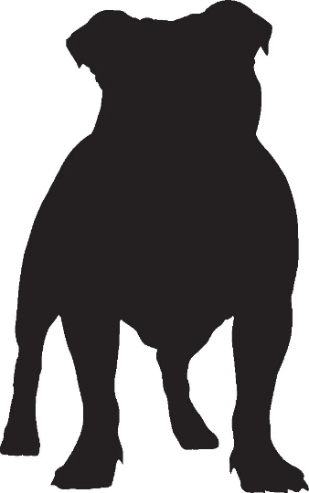 Bulldog Bundle for Cricut Cut Files SVG and PNG Only |Cute Bull Dog SVG | 140High Quality Png Files Ready to Print that Comes with Svg files - WatchaMaknJamaican